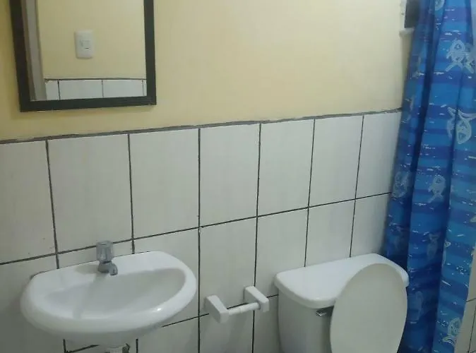 Ukumari Andino * Cuzco